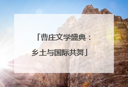 曹庄文学盛典：乡土与国际共舞