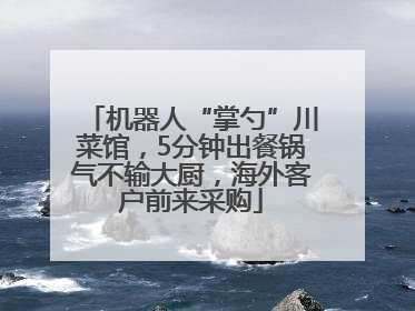 机器人“掌勺”川菜馆，5分钟出餐锅气不输大厨，海外客户前来采购