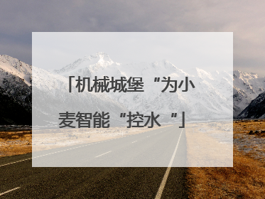 机械城堡“为小麦智能“控水“