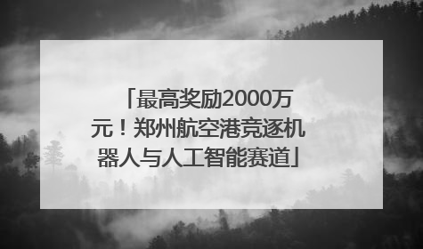 最高奖励2000万元！郑州航空港竞逐机器人与人工智能赛道
