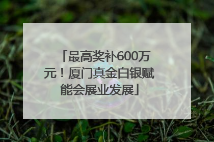 最高奖补600万元！厦门真金白银赋能会展业发展