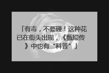 有毒，不要碰！这种花已在街头出现，《甄嬛传》中也有“科普”