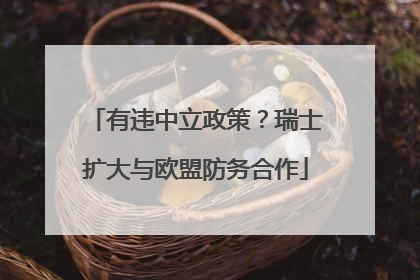 有违中立政策？瑞士扩大与欧盟防务合作