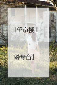 望京楼上聆琴音