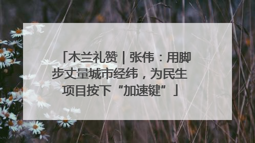木兰礼赞｜张伟：用脚步丈量城市经纬，为民生项目按下“加速键”