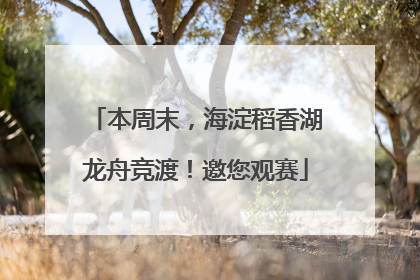 本周末，海淀稻香湖龙舟竞渡！邀您观赛