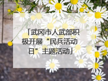 武冈市人武部积极开展“民兵活动日”主题活动