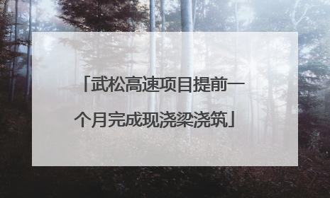 武松高速项目提前一个月完成现浇梁浇筑