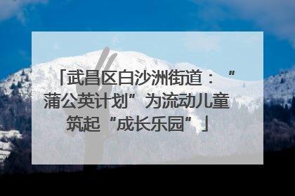武昌区白沙洲街道：“蒲公英计划”为流动儿童筑起“成长乐园”