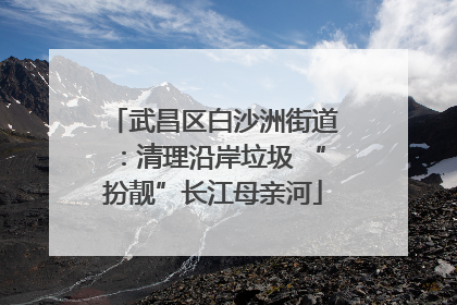 武昌区白沙洲街道：清理沿岸垃圾 “扮靓”长江母亲河