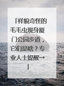 样貌奇怪的毛毛虫现身厦门公园步道，它们是啥？专业人士提醒→