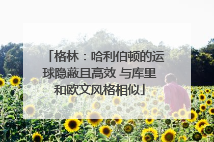 格林：哈利伯顿的运球隐蔽且高效 与库里和欧文风格相似