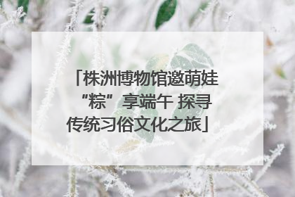株洲博物馆邀萌娃“粽”享端午 探寻传统习俗文化之旅