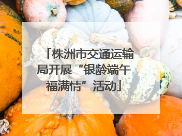 株洲市交通运输局开展“银龄端午福满情”活动