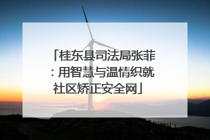 桂东县司法局张菲：用智慧与温情织就社区矫正安全网