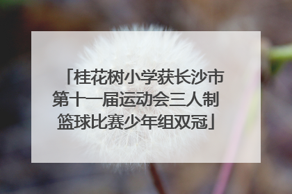桂花树小学获长沙市第十一届运动会三人制篮球比赛少年组双冠