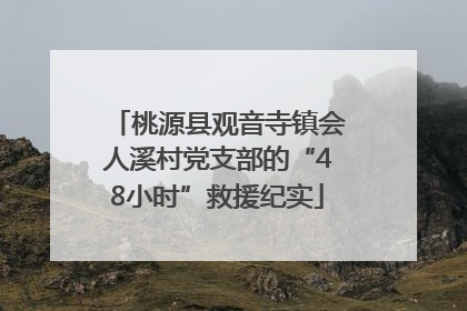 桃源县观音寺镇会人溪村党支部的“48小时”救援纪实