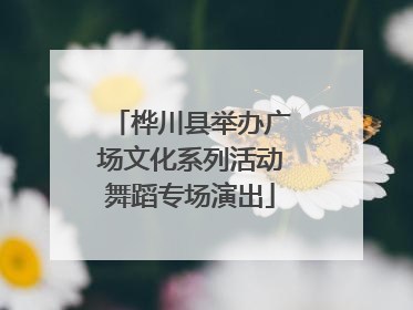 桦川县举办广场文化系列活动舞蹈专场演出