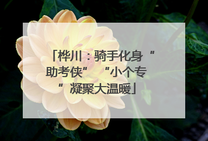 桦川：骑手化身“助考侠” “小个专”凝聚大温暖