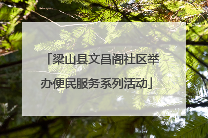 梁山县文昌阁社区举办便民服务系列活动