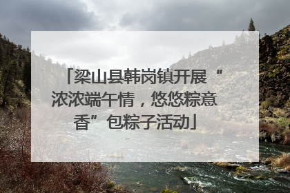 梁山县韩岗镇开展“浓浓端午情，悠悠粽意香”包粽子活动