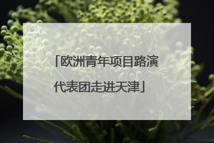 欧洲青年项目路演代表团走进天津