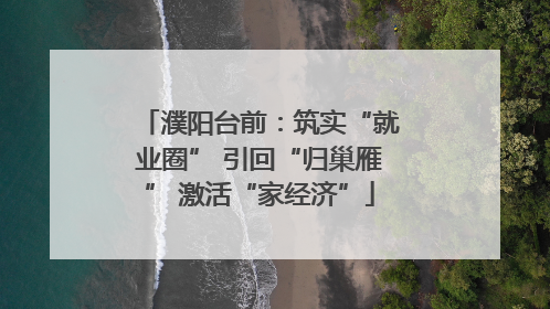 濮阳台前：筑实“就业圈” 引回“归巢雁” 激活“家经济”