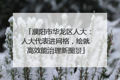 濮阳市华龙区人大：人大代表进网格，绘就高效能治理新图景