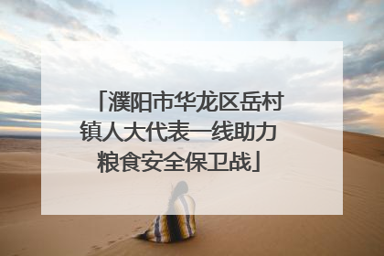 濮阳市华龙区岳村镇人大代表一线助力粮食安全保卫战