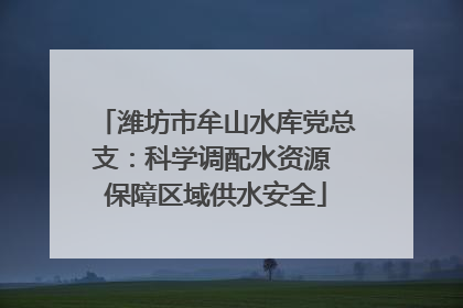 潍坊市牟山水库党总支：科学调配水资源 保障区域供水安全