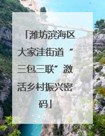 潍坊滨海区大家洼街道“三包三联”激活乡村振兴密码