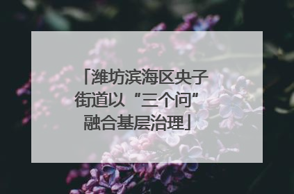 潍坊滨海区央子街道以“三个问”融合基层治理