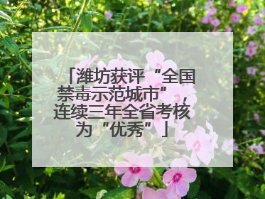 潍坊获评“全国禁毒示范城市”，连续三年全省考核为“优秀”