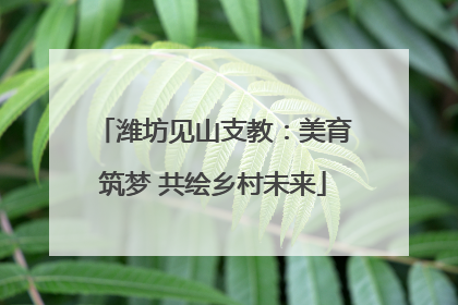 潍坊见山支教：美育筑梦 共绘乡村未来