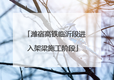 潍宿高铁临沂段进入架梁施工阶段