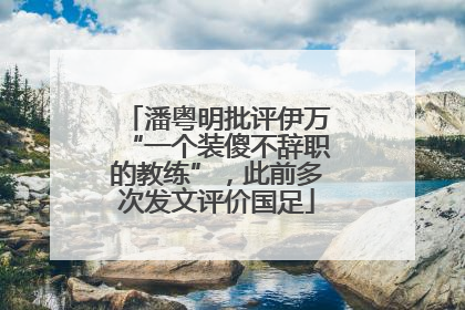 潘粤明批评伊万“一个装傻不辞职的教练”，此前多次发文评价国足