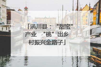 潢川县：“甜蜜”产业  “桃”出乡村振兴金路子