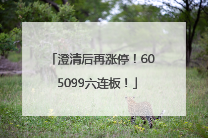 澄清后再涨停！605099六连板！