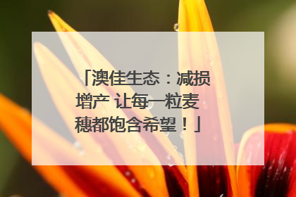 澳佳生态：减损增产 让每一粒麦穗都饱含希望！