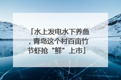 水上发电水下养鱼，青岛这个村百亩竹节虾抢“鲜”上市