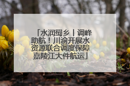 水润蜀乡丨调峰助航！川渝开展水资源联合调度保障嘉陵江大件航运