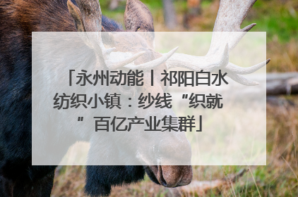 永州动能丨祁阳白水纺织小镇：纱线“织就”百亿产业集群