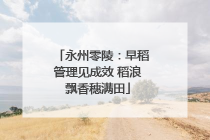 永州零陵：早稻管理见成效 稻浪飘香穗满田