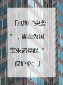 汛期“突袭”，崀山为国宝朱鹮撑起“保护伞”
