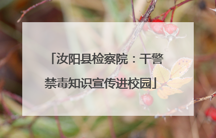 汝阳县检察院：干警禁毒知识宣传进校园