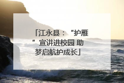 江永县：“护雁”宣讲进校园 助梦启航护成长