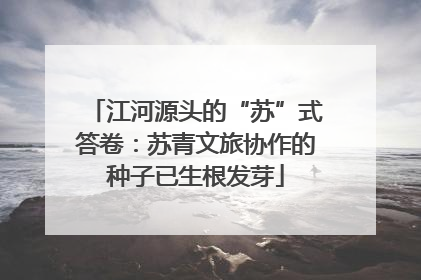 江河源头的“苏”式答卷：苏青文旅协作的种子已生根发芽