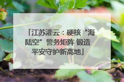 江苏灌云：硬核“海陆空”警务矩阵 锻造平安守护新高地
