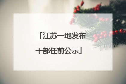 江苏一地发布干部任前公示