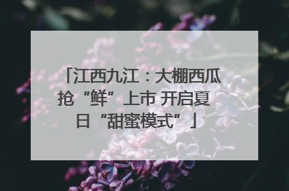 江西九江：大棚西瓜抢“鲜”上市 开启夏日“甜蜜模式”